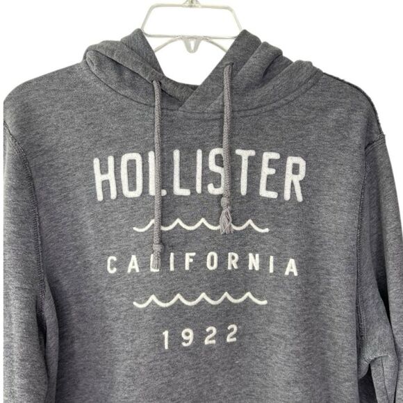 Hollister Women’s L Graphic Logo Hoodie - Picture 2 of 4